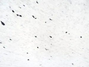 Pitaya White Granite Slab