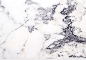 Statuary White Tile Series