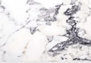 Statuary White Tile Series