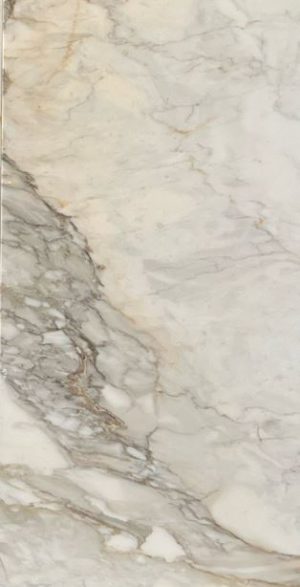 12 x 24 | Calacatta Macchia Vecchia