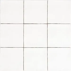 Broadway White 5 x 5 - Audubon