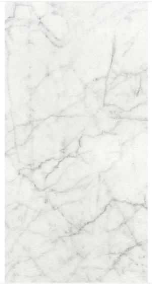 Statuary 12x24 | Villere Series