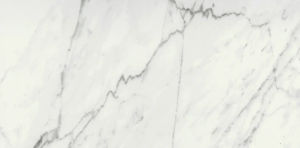 Roosevelt 12x24 | Beinvenue Series