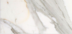 6 x 12 | Calacatta Gold