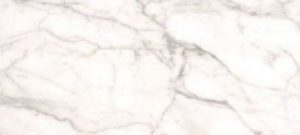 6 x 12 | Calacatta Macchia Vecchia