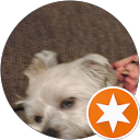 Robert Smith profile picture