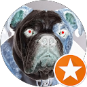 Matthew holsclaw profile picture