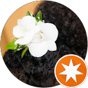 KS MS profile picture