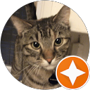 Nicole Rugg profile picture